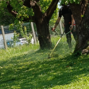 Jessy A. (Abc multiservices)