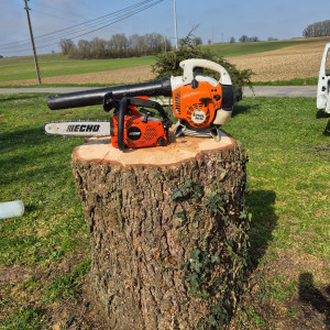 Dylan D. (Mr.delauries)