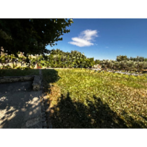 Anthony B. (Blanc-Paysagiste)