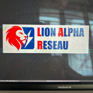 Diallo J. (Lion Alpha Réseau BTP LAR)