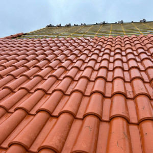 Anthony G. (AG PRO MULTISERVICE)