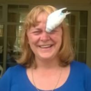 Lynda K. (Kent kleaners)