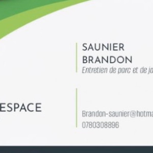Brandon S.