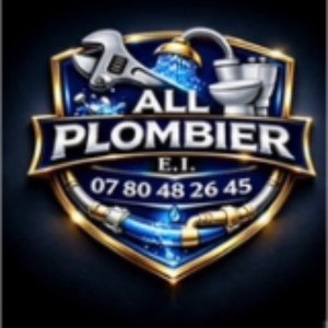 Valentino D. (All plombier)