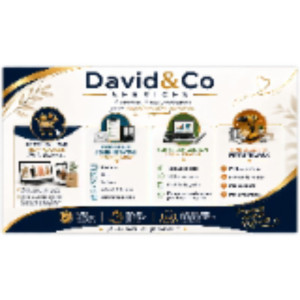 David B. (david&co services)