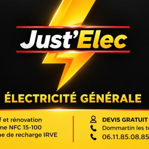 Justin D. (Just'Elec)