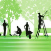 Waren B. (Entreprise espace vert taill...