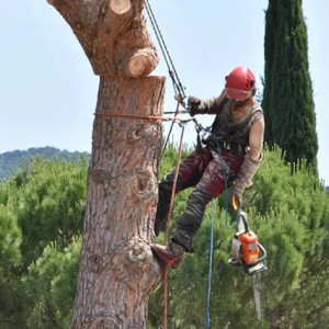 Kenzo P. (Kenzo Petel)