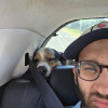 avatar Mehdi A.<