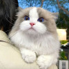 avatar Pierre-Eric M.<
