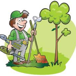 Jordi V. (vadoche Multi service)