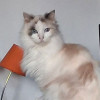 Fabienne