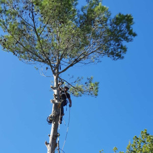 Chris C. (Cc Elite Corde)