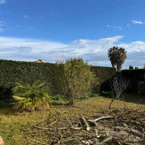 Chris K. (Marmotton services)