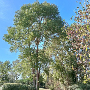 James S. (schartier james)