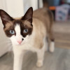 avatar Frédéric J.<