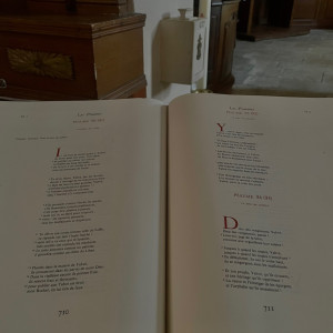 Bryan T. (THEVENY ENTRETIEN)