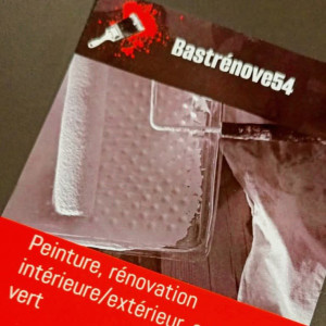 Bastien P. (bastrenove54)