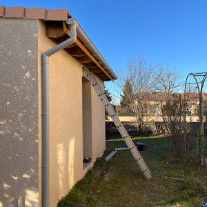 Romain M. (RM Habitat Services)