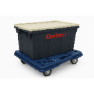 Boxferm