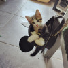 avatar Levana R.<