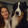 avatar Sophie N.<