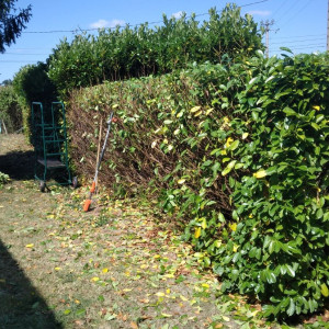 Vincent R. (Rozzoni Vincent)