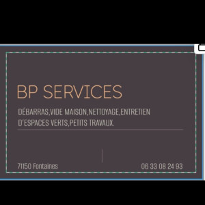 Bryan P. (BP Services)