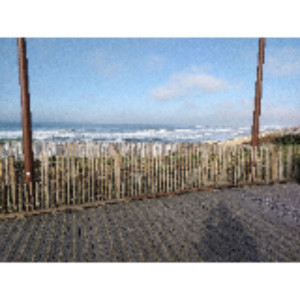 Mickael A. (naturskole i gironde)