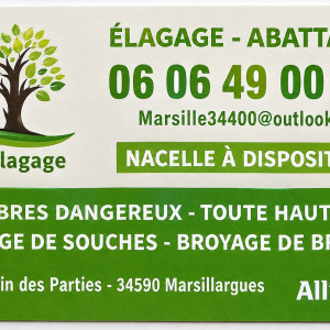 Simon M. (MARSILLE TOUS SERVICES)