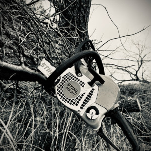 Bernard Antoine C. (431,chemin des ber...