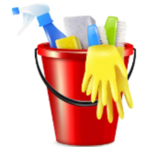 Vanessa L. (31home to clean)