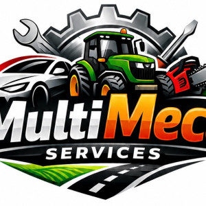 Thomas F. (MultiMecaService)