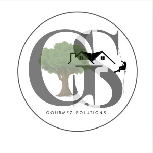 Damien G. (gourmezsolutions)