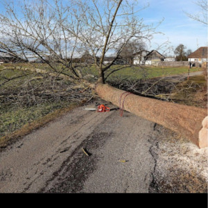 David A. (AD SERVICE)