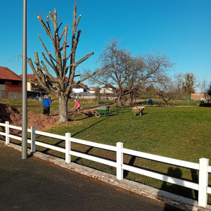 Sebastien H. (MSH NET)