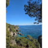 avatar Fannie P.<