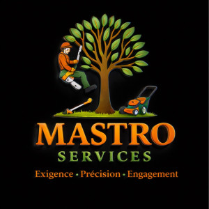 Bastien M. (MastroServices)