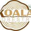 Enzo P. (KOALA FORESTRY)