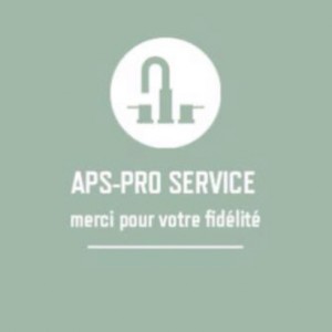 Aps Pro A. (Aps-pro service)