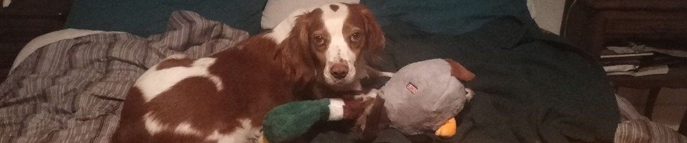Eva S.