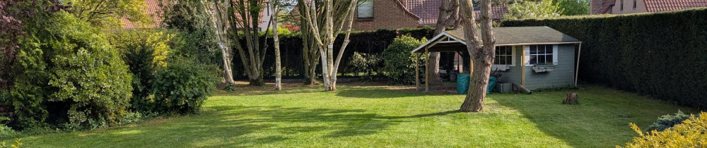 Antoine C. (AC Jardins & Services)