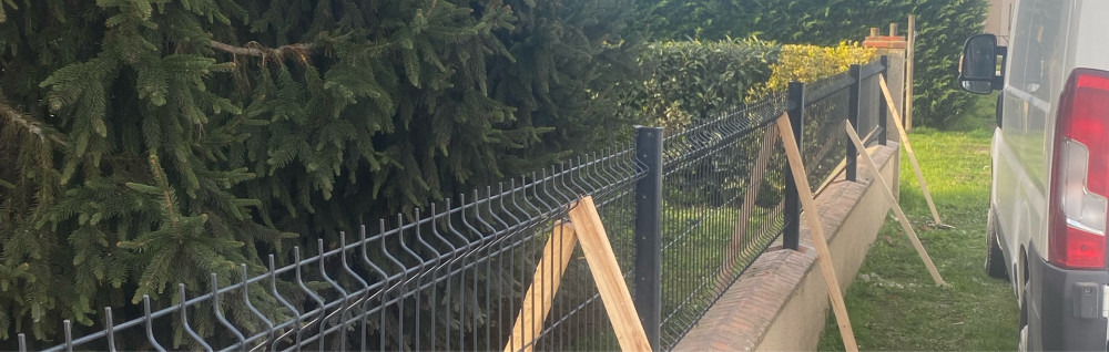 Jimmy L. (Jlservices)