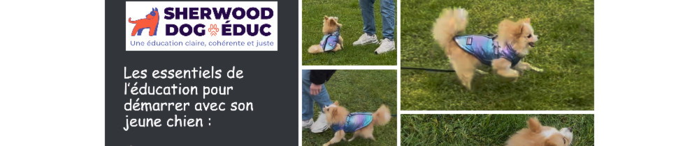 Tracy S. (Sherwood DogEduc)