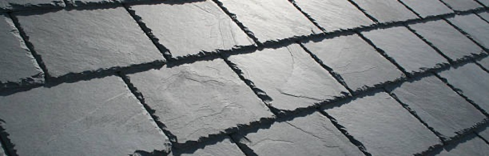 Steven V. (Vadoche Steven)