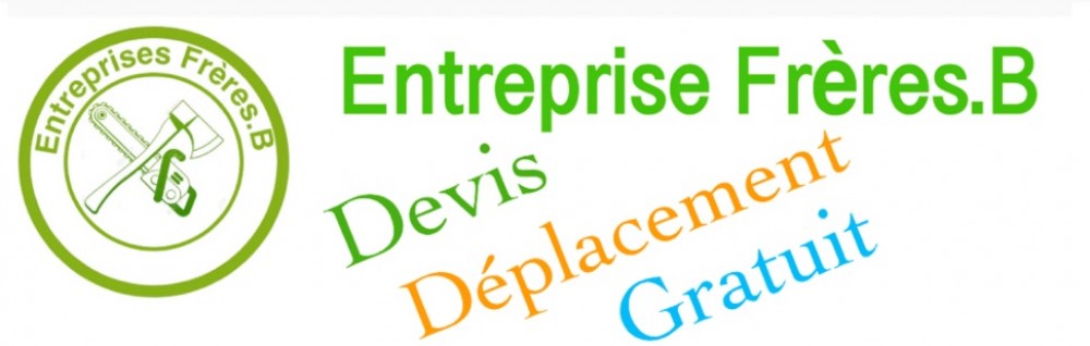 Steevy B. (entreprise Frères.B)