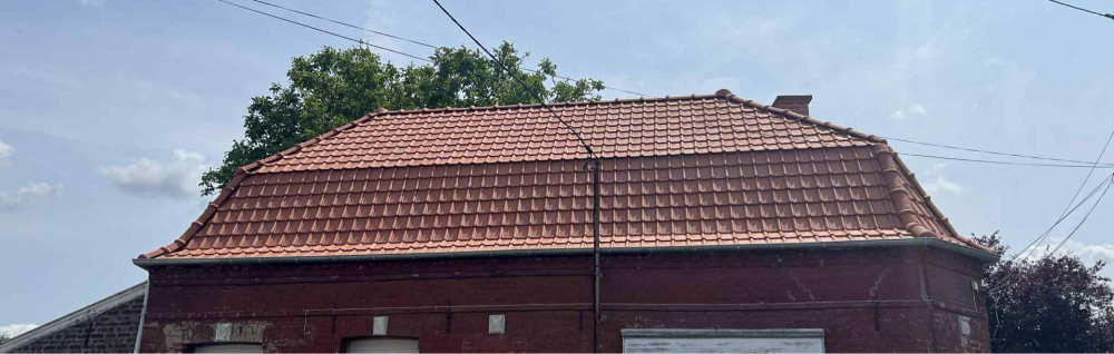 Patrick N. (pro renov)