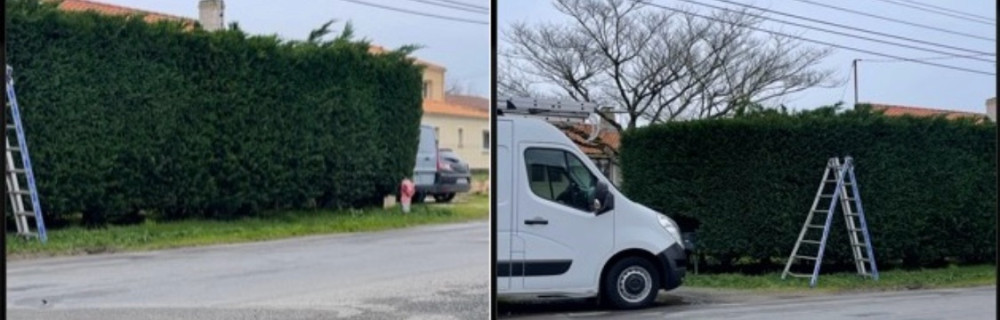 Tayson N. (nef tayson)