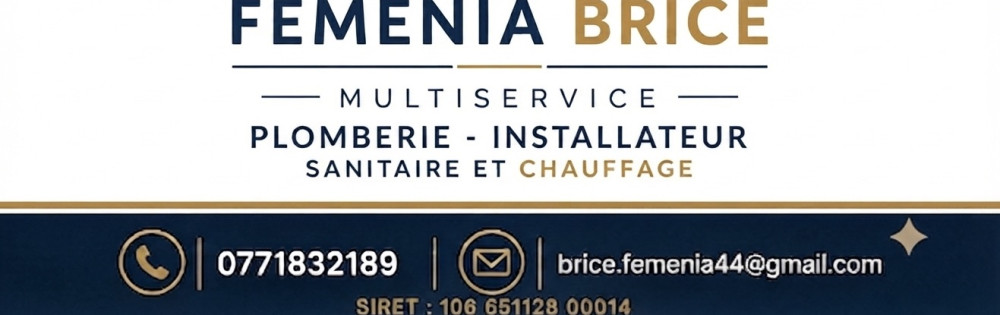 Brice F. (Femenia Brice multiservices)