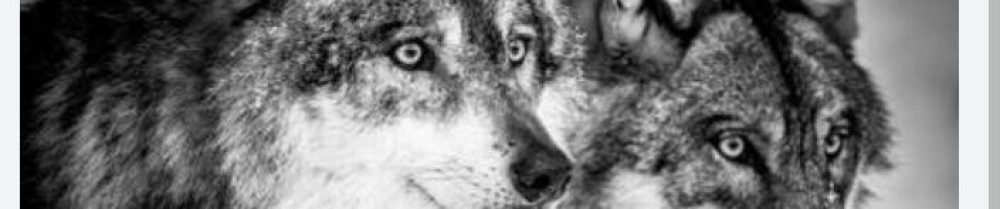 Joseph B. (BJ recup)